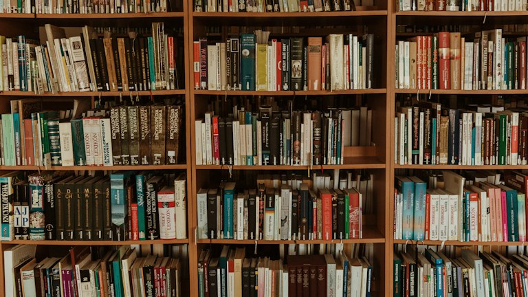 brown wooden book shelf with books