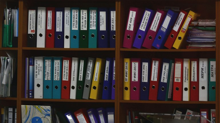 Rows of colorful ring binders organized on wooden shelves in an office