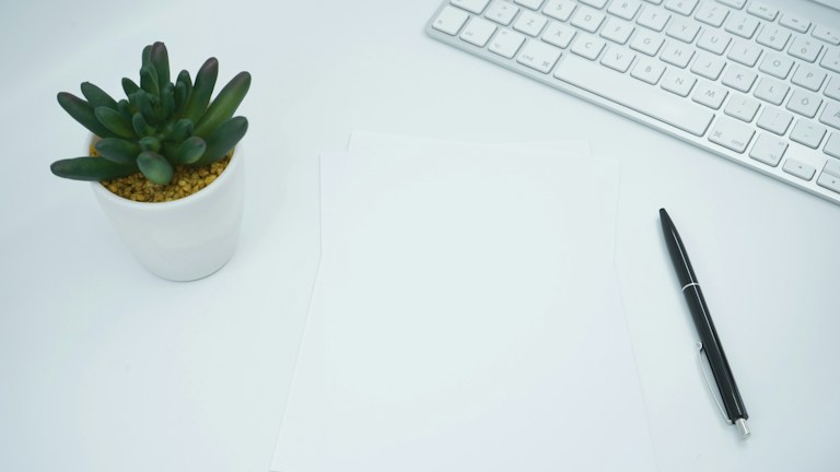 green cactus plant on white table